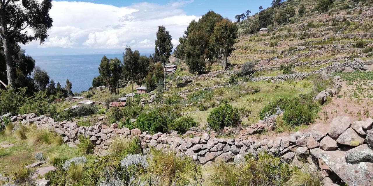 Taquile Hospedaje Mario Huillanopampa ภายนอก รูปภาพ