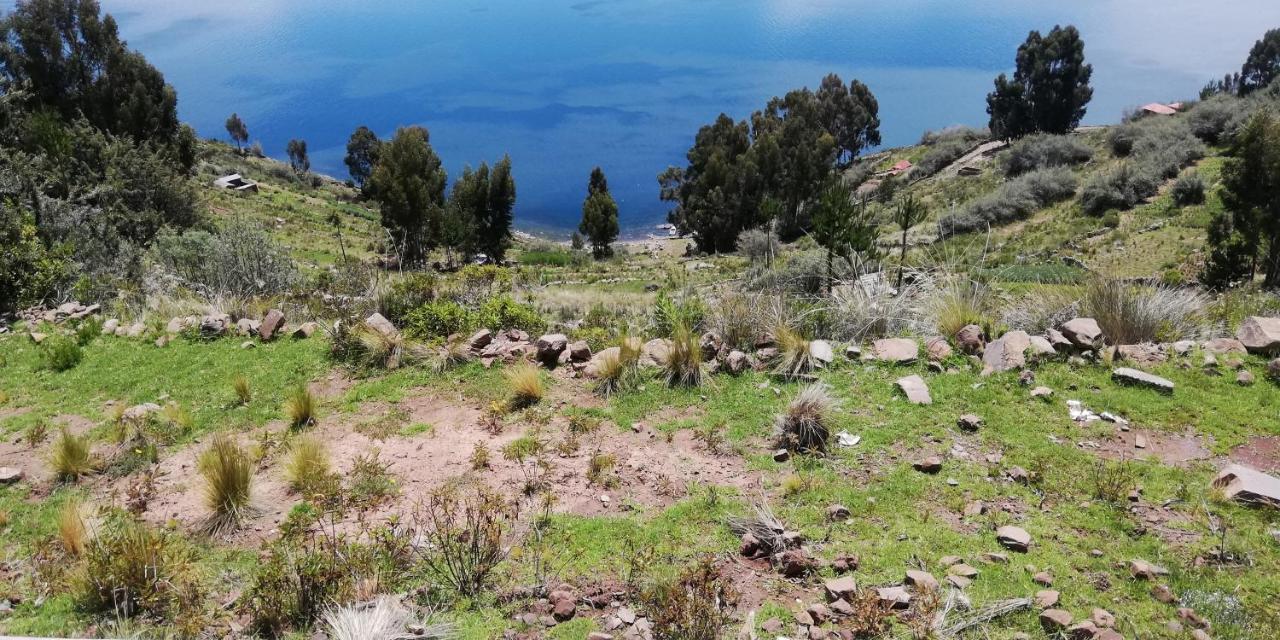 Taquile Hospedaje Mario Huillanopampa ภายนอก รูปภาพ
