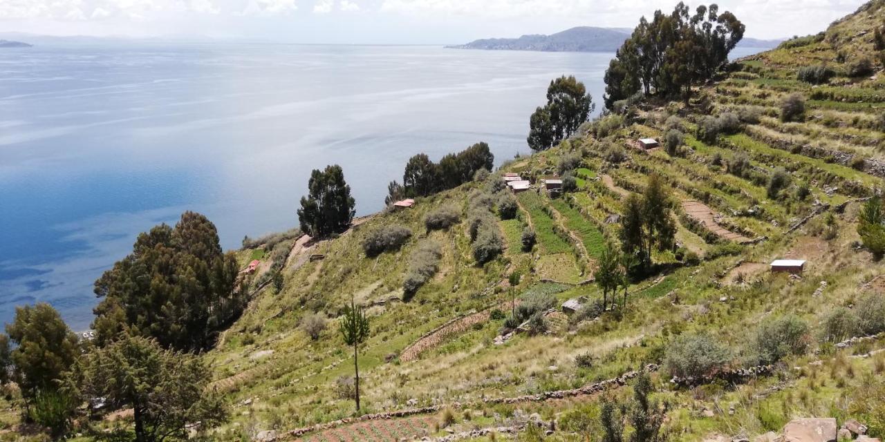 Taquile Hospedaje Mario Huillanopampa ภายนอก รูปภาพ