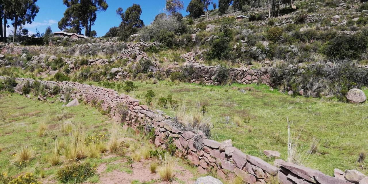 Taquile Hospedaje Mario Huillanopampa ภายนอก รูปภาพ