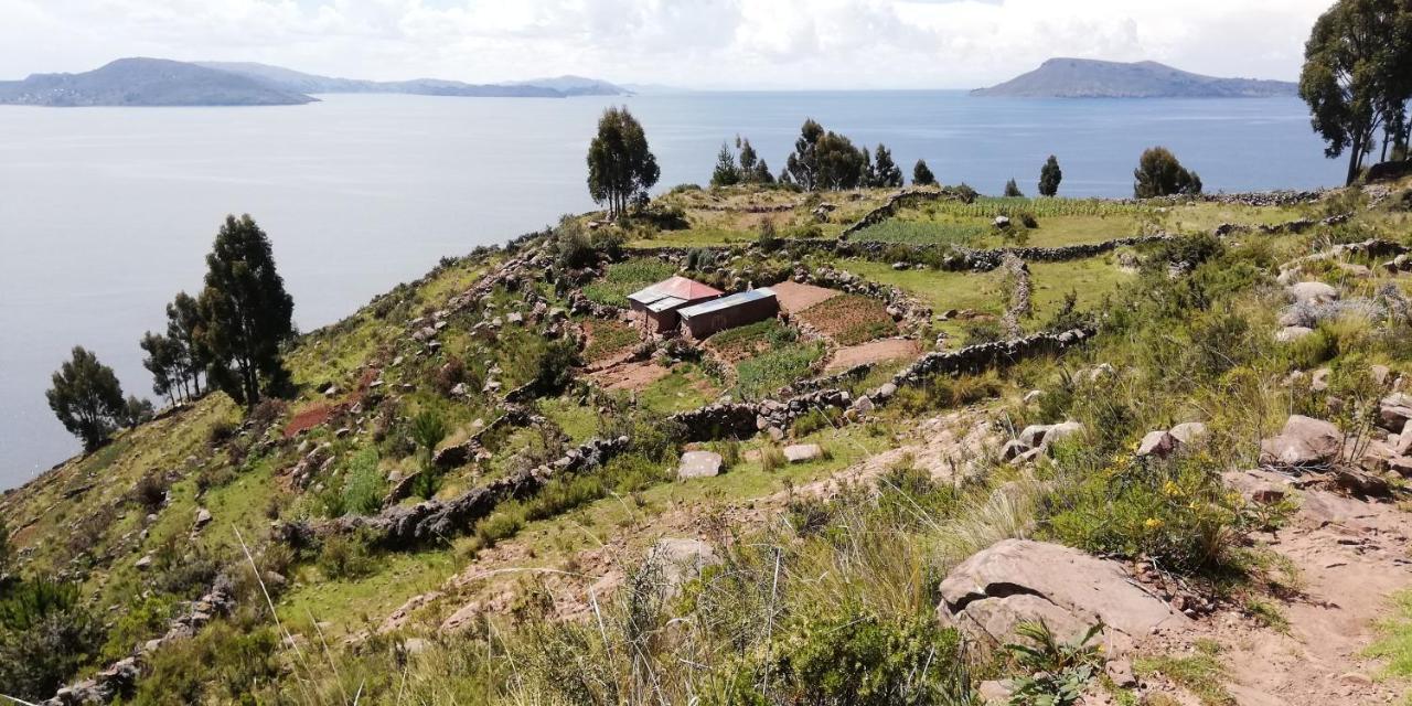 Taquile Hospedaje Mario Huillanopampa ภายนอก รูปภาพ