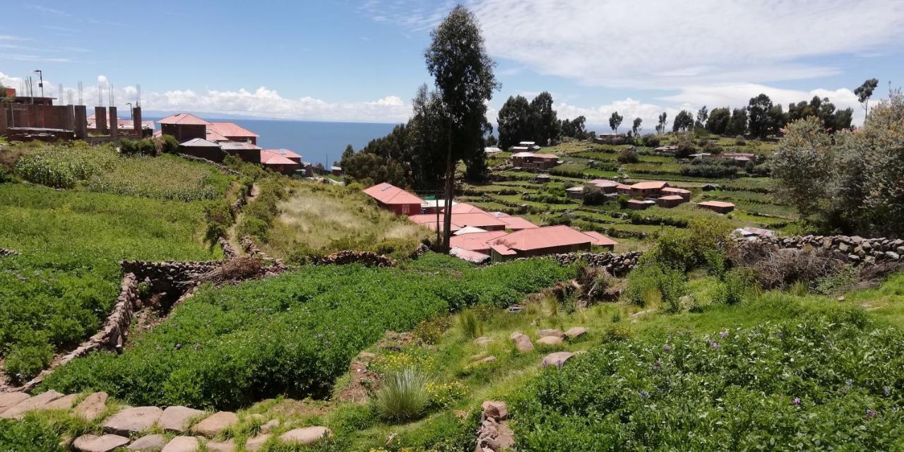 Taquile Hospedaje Mario Huillanopampa ภายนอก รูปภาพ