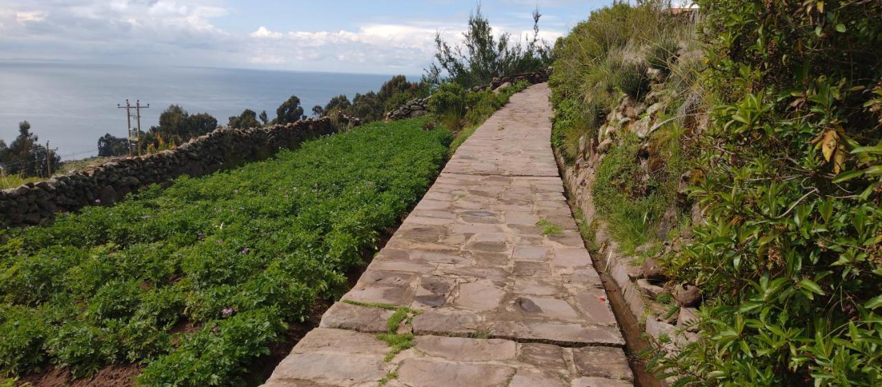 Taquile Hospedaje Mario Huillanopampa ภายนอก รูปภาพ
