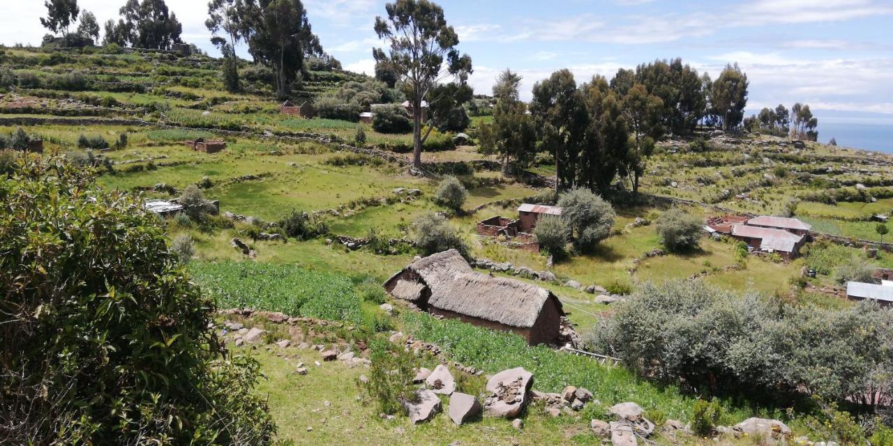 Taquile Hospedaje Mario Huillanopampa ภายนอก รูปภาพ