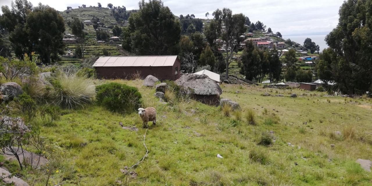 Taquile Hospedaje Mario Huillanopampa ภายนอก รูปภาพ