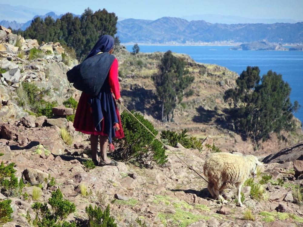 Taquile Hospedaje Mario Huillanopampa ภายนอก รูปภาพ